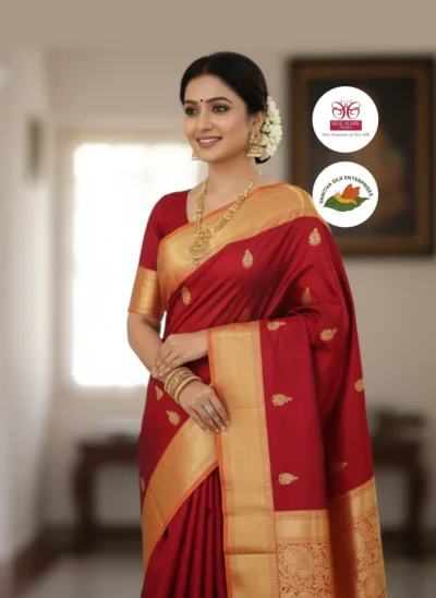 Radiant Resplendence Silk Saree